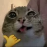 s1mple